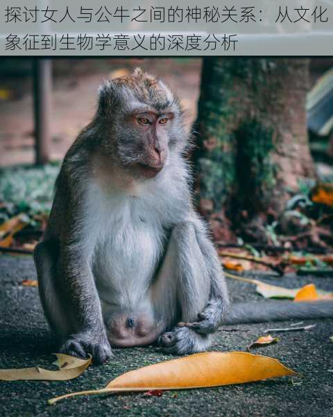 探讨女人与公牛之间的神秘关系:从文化象征到生物学意义的深度分析
