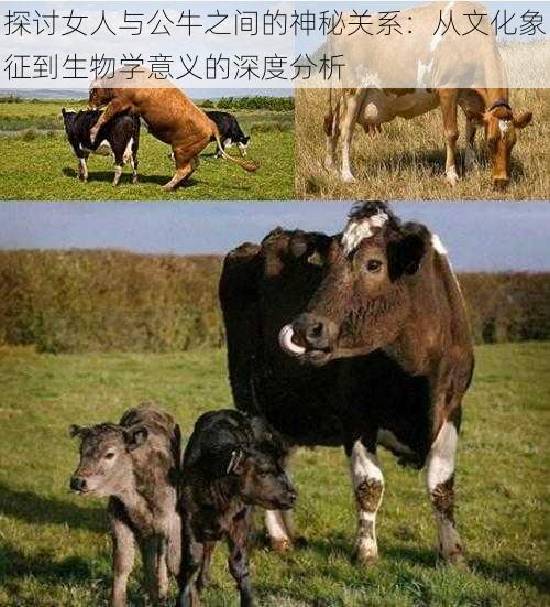 探讨女人与公牛之间的神秘关系:从文化象征到生物学意义的深度分析