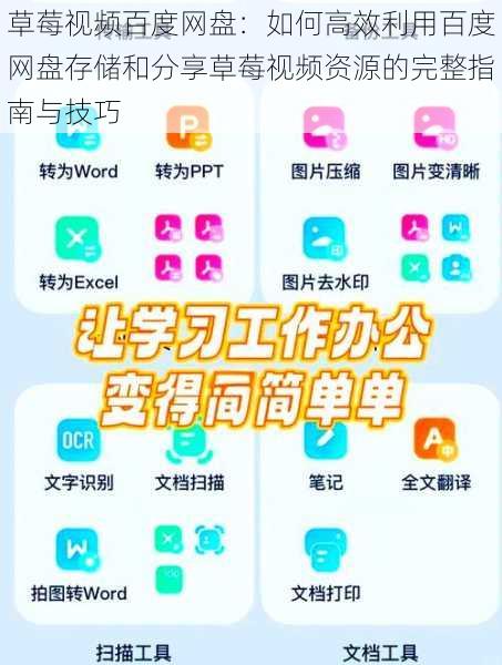 草莓视频百度网盘：如何高效利用百度网盘存储和分享草莓视频资源的完整指南与技巧
