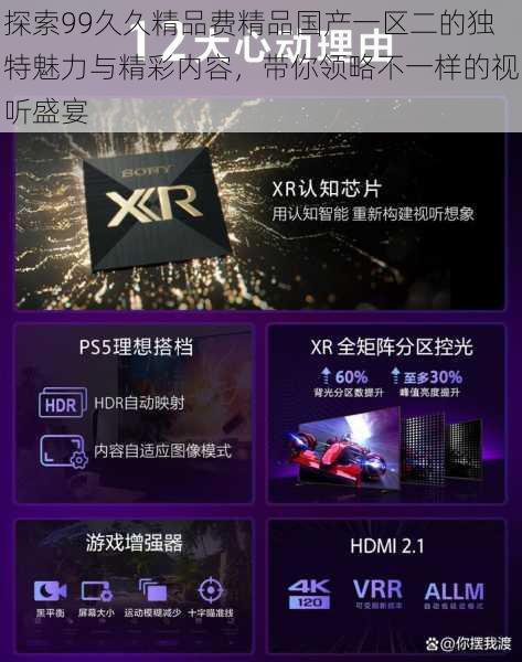 探索99久久精品费精品国产一区二的独特魅力与精彩内容,带你领略不一样的视听盛宴
