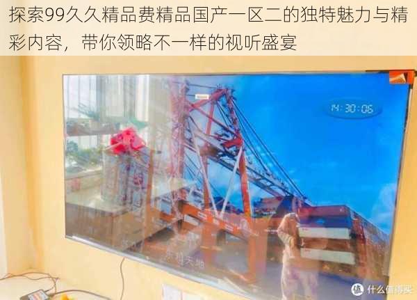 探索99久久精品费精品国产一区二的独特魅力与精彩内容,带你领略不一样的视听盛宴