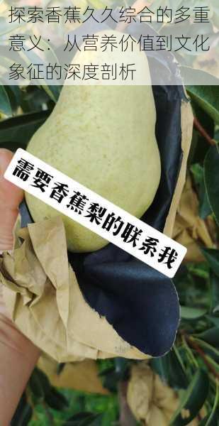 探索香蕉久久综合的多重意义:从营养价值到文化象征的深度剖析