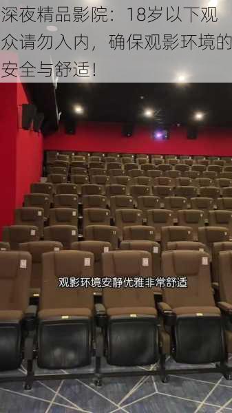 深夜精品影院:18岁以下观众请勿入内,确保观影环境的安全与舒适!