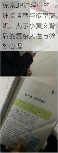 探索3P过程中的细腻情感与欲望交织,揭示小黄文背后的复杂人性与微妙心理