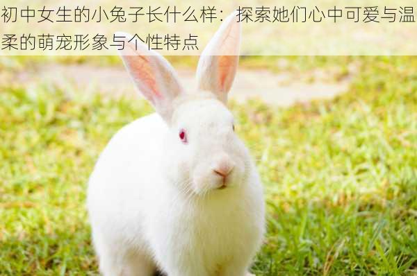 初中女生的小兔子长什么样:探索她们心中可爱与温柔的萌宠形象与个性特点