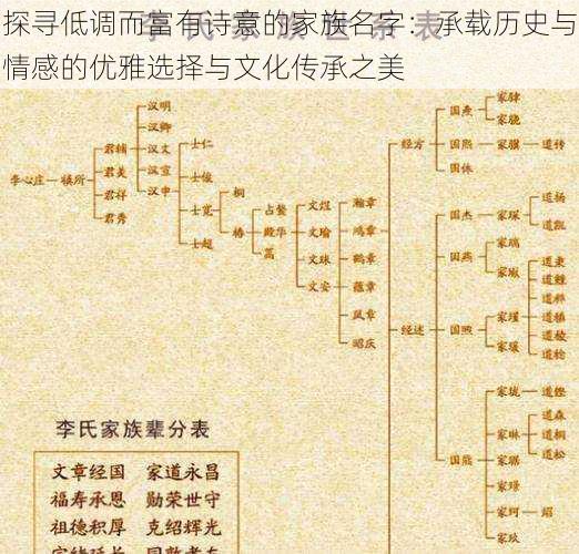 探寻低调而富有诗意的家族名字:承载历史与情感的优雅选择与文化传承之美