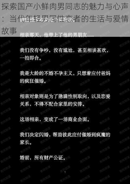 探索国产小鲜肉男同志的魅力与心声:当代年轻男同性恋者的生活与爱情故事