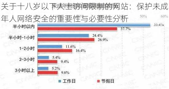 关于十八岁以下人士访问限制的网站:保护未成年人网络安全的重要性与必要性分析