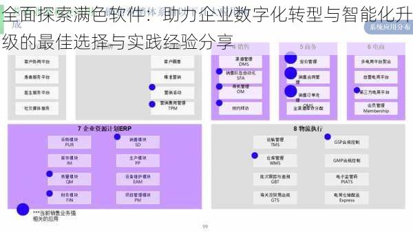 全面探索满色软件:助力企业数字化转型与智能化升级的最佳选择与实践经验分享