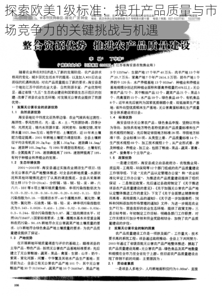探索欧美1级标准:提升产品质量与市场竞争力的关键挑战与机遇