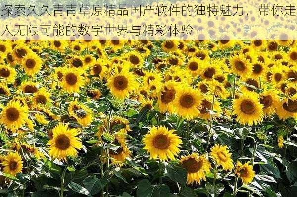 探索久久青青草原精品国产软件的独特魅力,带你走入无限可能的数字世界与精彩体验