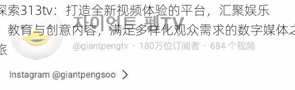 探索313tv:打造全新视频体验的平台,汇聚娱乐、教育与创意内容,满足多样化观众需求的数字媒体之旅