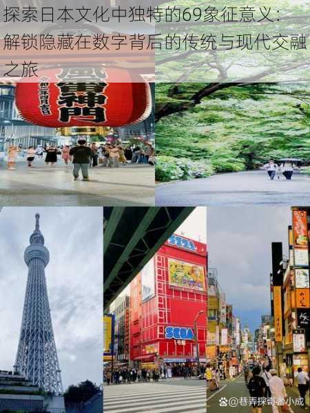 探索日本文化中独特的69象征意义:解锁隐藏在数字背后的传统与现代交融之旅