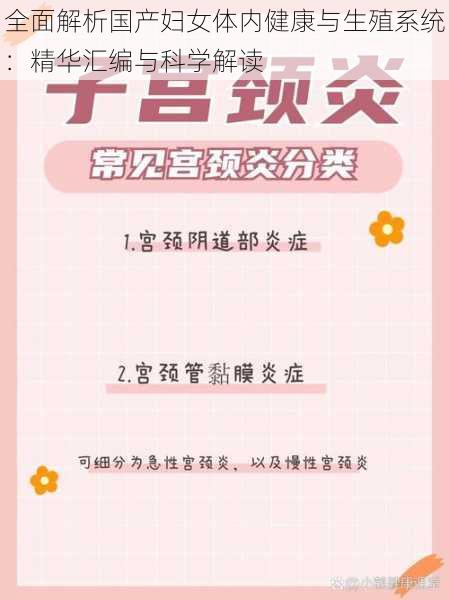 全面解析国产妇女体内健康与生殖系统:精华汇编与科学解读