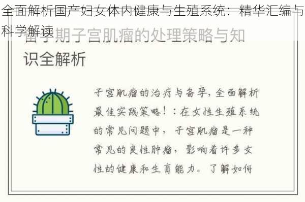 全面解析国产妇女体内健康与生殖系统:精华汇编与科学解读