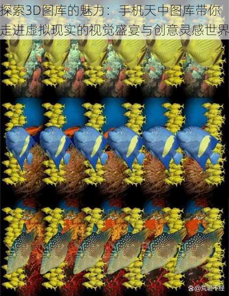 探索3D图库的魅力:手机天中图库带你走进虚拟现实的视觉盛宴与创意灵感世界
