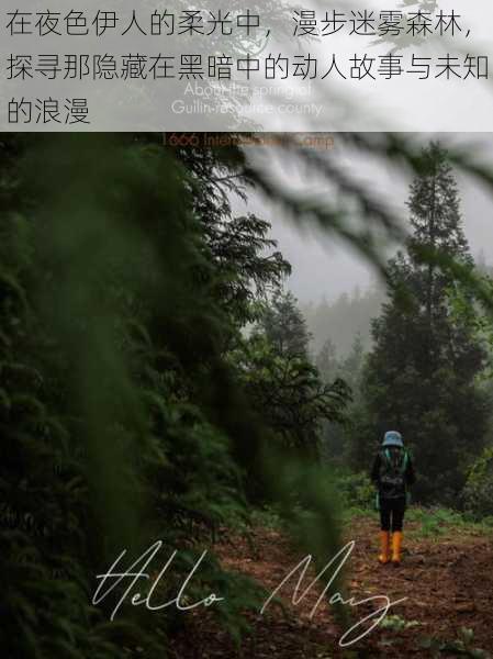 在夜色伊人的柔光中,漫步迷雾森林,探寻那隐藏在黑暗中的动人故事与未知的浪漫