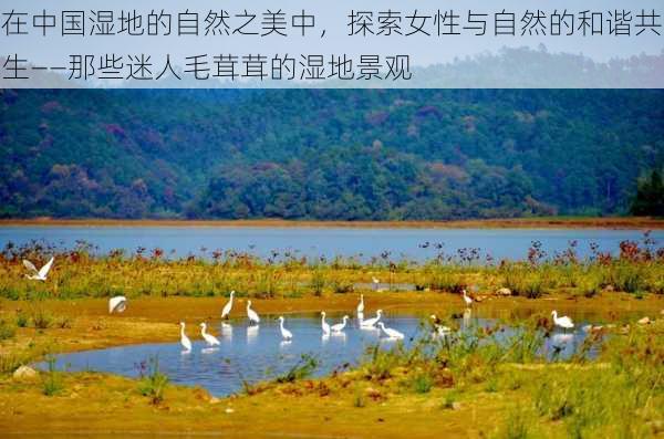 在中国湿地的自然之美中,探索女性与自然的和谐共生——那些迷人毛茸茸的湿地景观