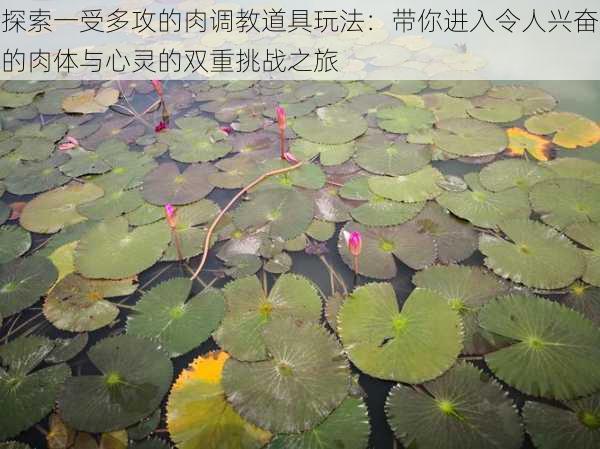 探索一受多攻的肉调教道具玩法:带你进入令人兴奋的肉体与心灵的双重挑战之旅