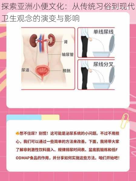 探索亚洲小便文化:从传统习俗到现代卫生观念的演变与影响
