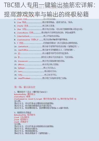 TBC猎人专用一键输出抽筋宏详解:提高游戏效率与输出的终极秘籍