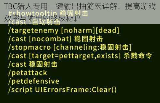 TBC猎人专用一键输出抽筋宏详解:提高游戏效率与输出的终极秘籍