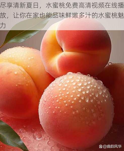 尽享清新夏日,水蜜桃免费高清视频在线播放,让你在家也能品味鲜嫩多汁的水蜜桃魅力