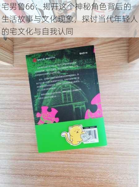 宅男鲁66:揭开这个神秘角色背后的生活故事与文化现象,探讨当代年轻人的宅文化与自我认同