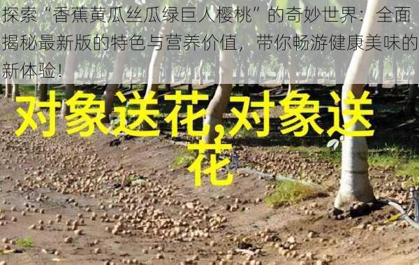 探索“香蕉黄瓜丝瓜绿巨人樱桃”的奇妙世界:全面揭秘最新版的特色与营养价值,带你畅游健康美味的新体验!