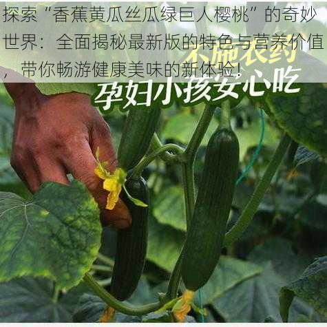 探索“香蕉黄瓜丝瓜绿巨人樱桃”的奇妙世界:全面揭秘最新版的特色与营养价值,带你畅游健康美味的新体验!