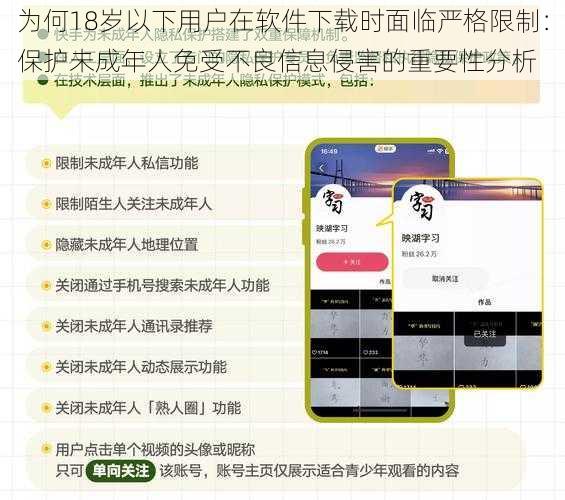 为何18岁以下用户在软件下载时面临严格限制:保护未成年人免受不良信息侵害的重要性分析