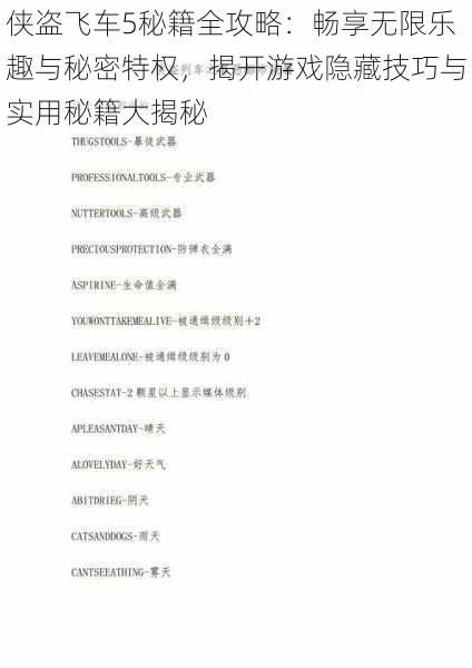 侠盗飞车5秘籍全攻略:畅享无限乐趣与秘密特权,揭开游戏隐藏技巧与实用秘籍大揭秘