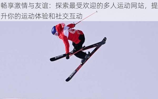 畅享激情与友谊：探索最受欢迎的多人运动网站，提升你的运动体验和社交互动