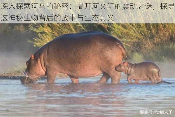 深入探索河马的秘密:揭开河文轩的震动之谜,探寻这神秘生物背后的故事与生态意义