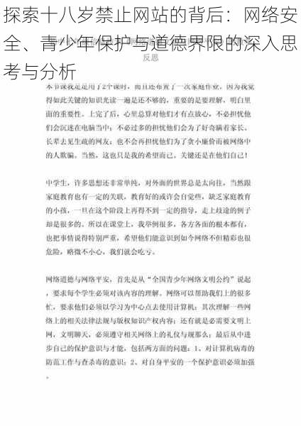 探索十八岁禁止网站的背后:网络安全、青少年保护与道德界限的深入思考与分析