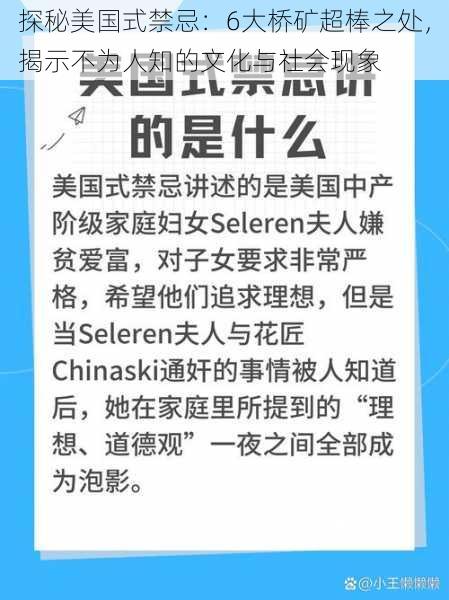 探秘美国式禁忌:6大桥矿超棒之处,揭示不为人知的文化与社会现象