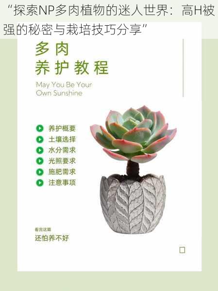“探索NP多肉植物的迷人世界：高H被强的秘密与栽培技巧分享”