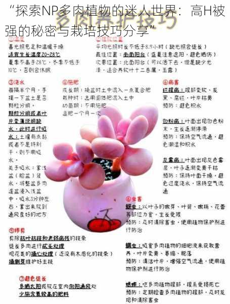 “探索NP多肉植物的迷人世界：高H被强的秘密与栽培技巧分享”