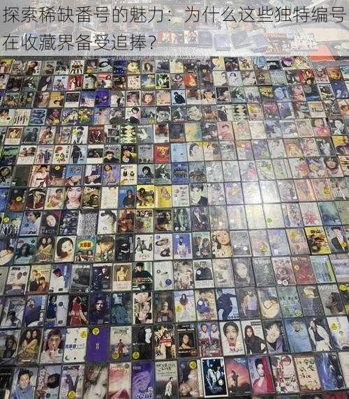探索稀缺番号的魅力：为什么这些独特编号在收藏界备受追捧？