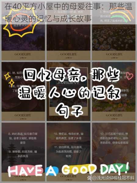 在40平方小屋中的母爱往事：那些温暖心灵的记忆与成长故事