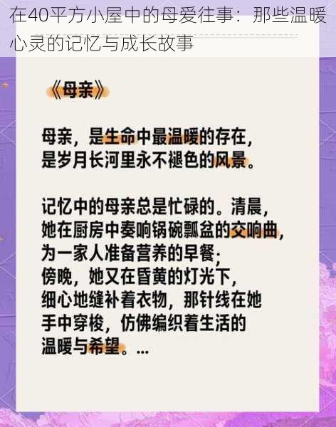 在40平方小屋中的母爱往事：那些温暖心灵的记忆与成长故事