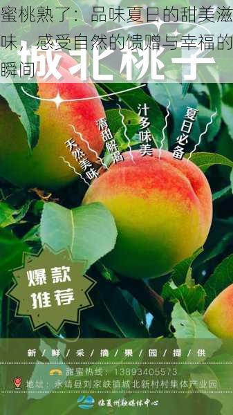 蜜桃熟了:品味夏日的甜美滋味,感受自然的馈赠与幸福的瞬间