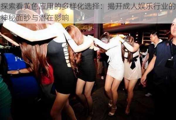 探索看黄色应用的多样化选择：揭开成人娱乐行业的神秘面纱与潜在影响