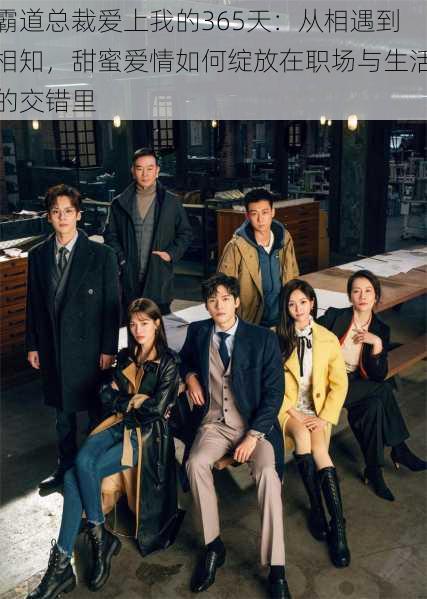 霸道总裁爱上我的365天：从相遇到相知，甜蜜爱情如何绽放在职场与生活的交错里