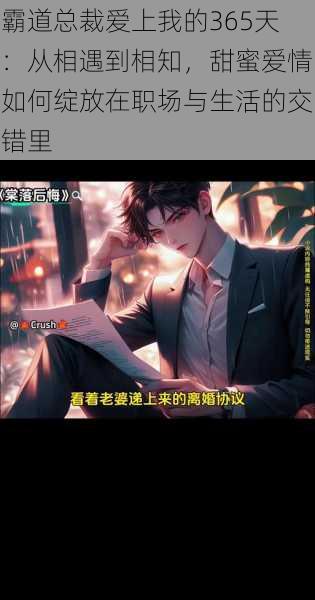 霸道总裁爱上我的365天：从相遇到相知，甜蜜爱情如何绽放在职场与生活的交错里