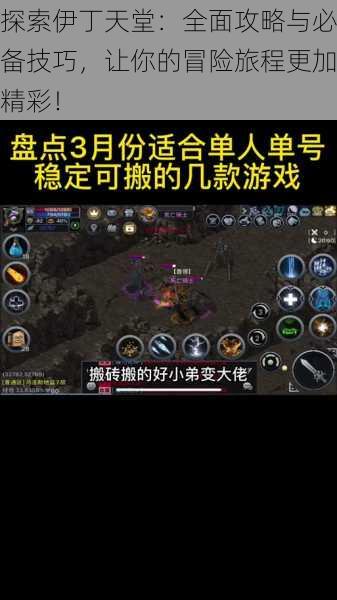 探索伊丁天堂：全面攻略与必备技巧，让你的冒险旅程更加精彩！