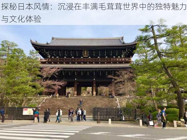探秘日本风情：沉浸在丰满毛茸茸世界中的独特魅力与文化体验