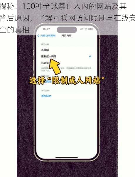 揭秘:100种全球禁止入内的网站及其背后原因,了解互联网访问限制与在线安全的真相