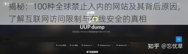 揭秘：100种全球禁止入内的网站及其背后原因，了解互联网访问限制与在线安全的真相