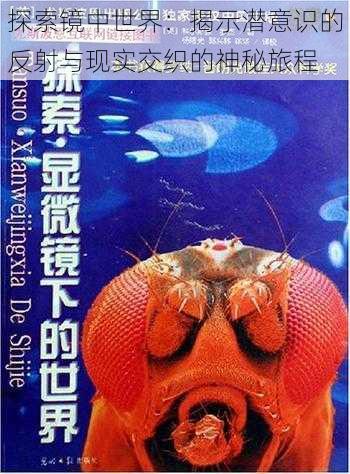 探索镜中世界：揭示潜意识的反射与现实交织的神秘旅程